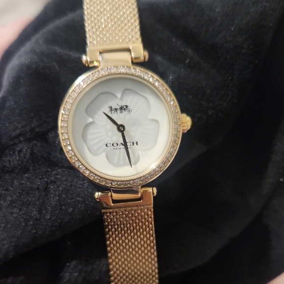 Coach Park Gold and White Crystal-Embellished Watch - Picture 1 of 6